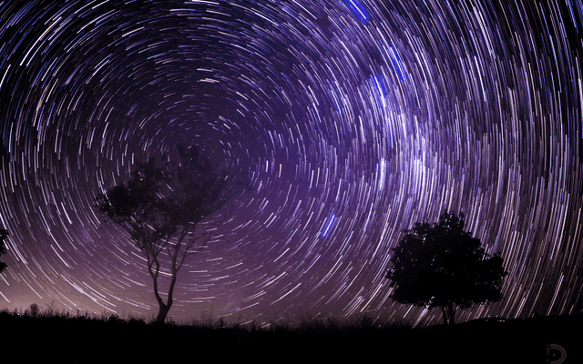 Cosmos