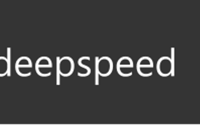 DeepSpeed