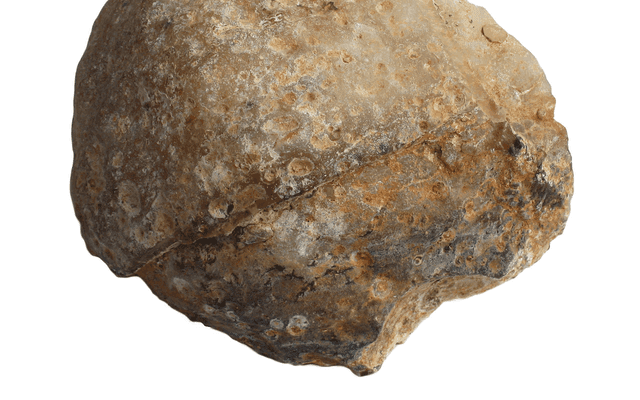 地理分布模式(Geode)