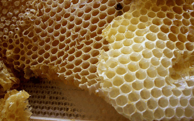 Honeycomb