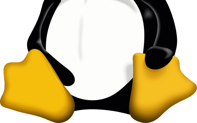 Linux