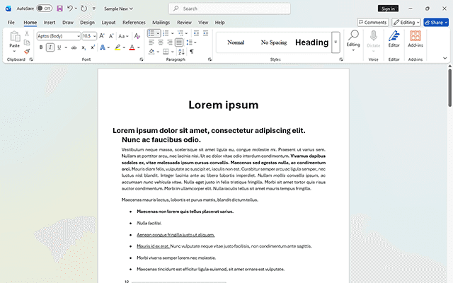 Microsoft Word