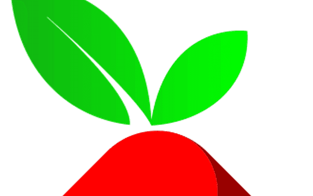 Pi-hole