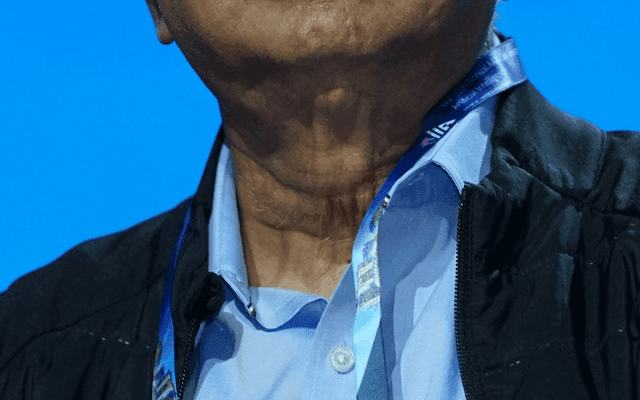 拉杰·雷迪（Raj Reddy）