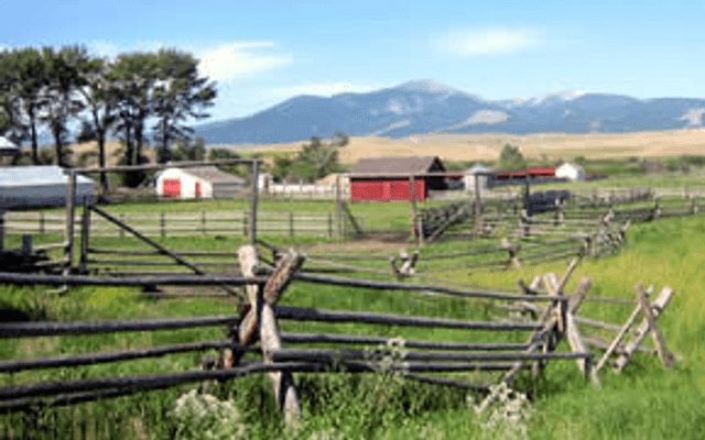 Rancher