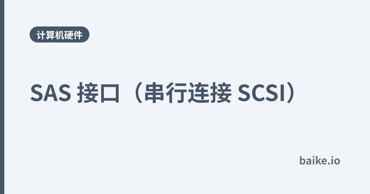 SAS 接口（串行连接 SCSI）