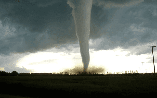 Tornado(Python 异步框架)
