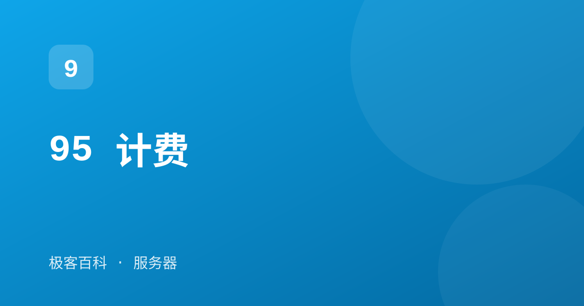 95 计费