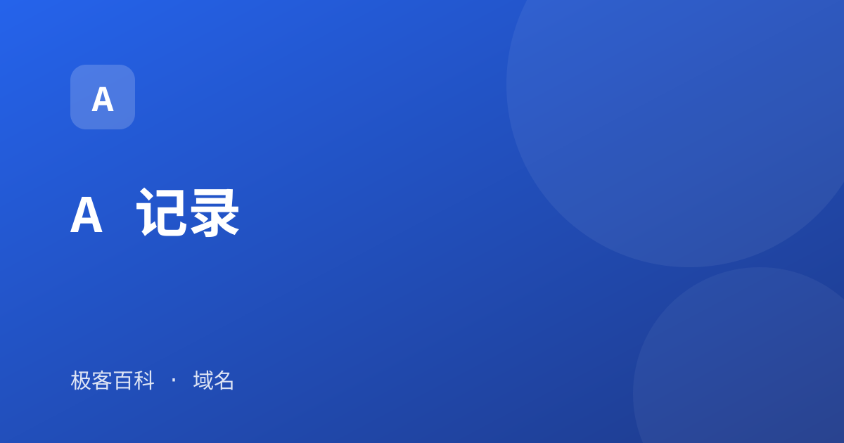 A 记录