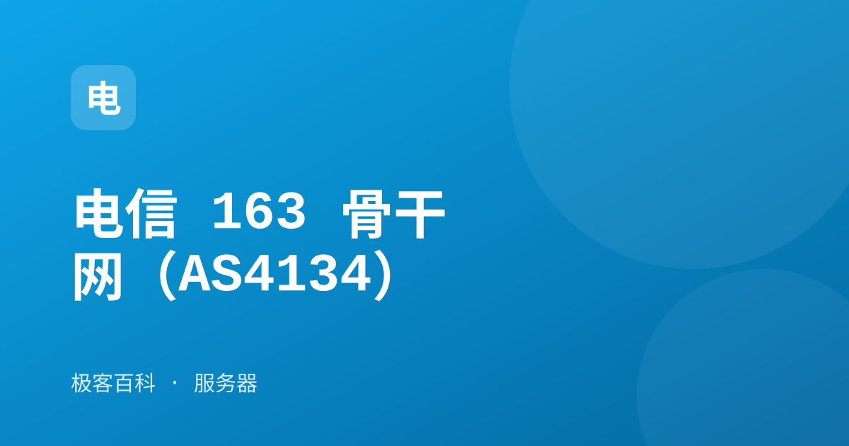 电信 163 骨干网（AS4134）