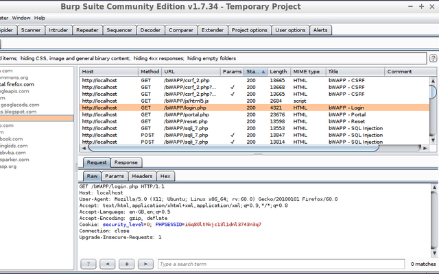 Burp Suite