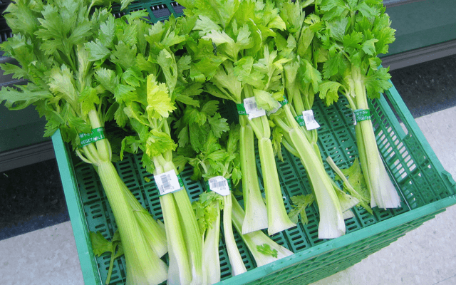 Celery
