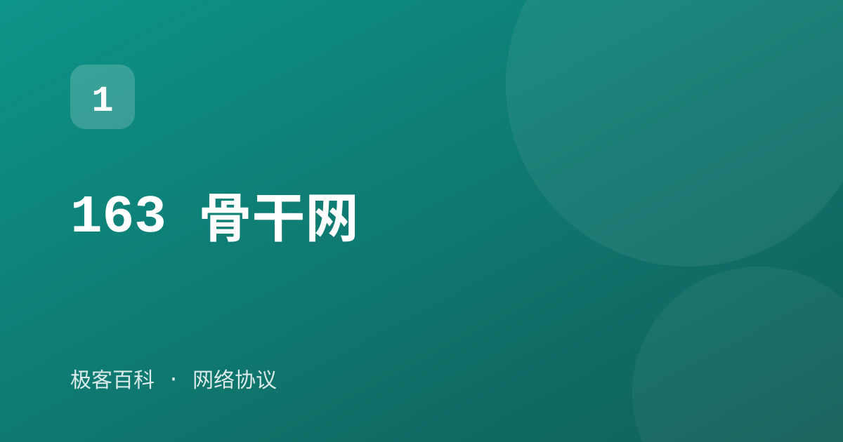 163 骨干网