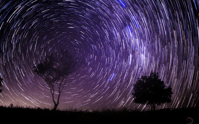 Cosmos