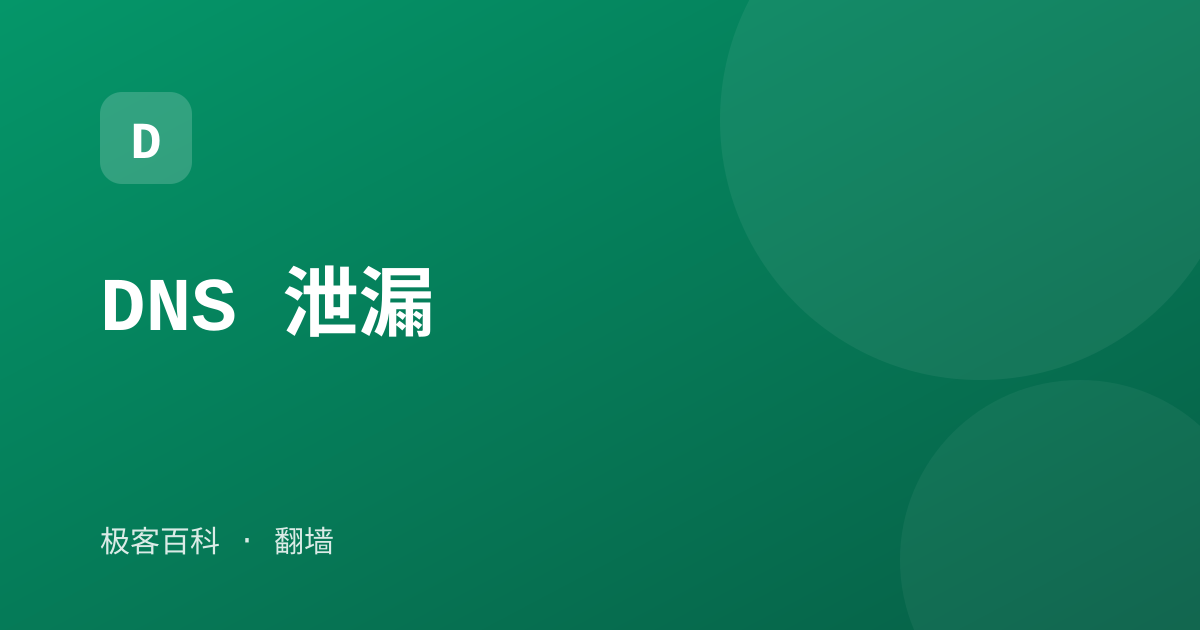 DNS 泄漏