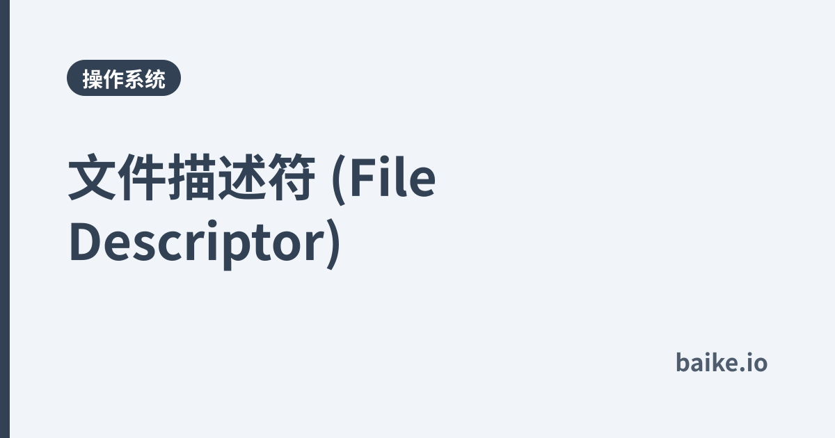 文件描述符 (File Descriptor)