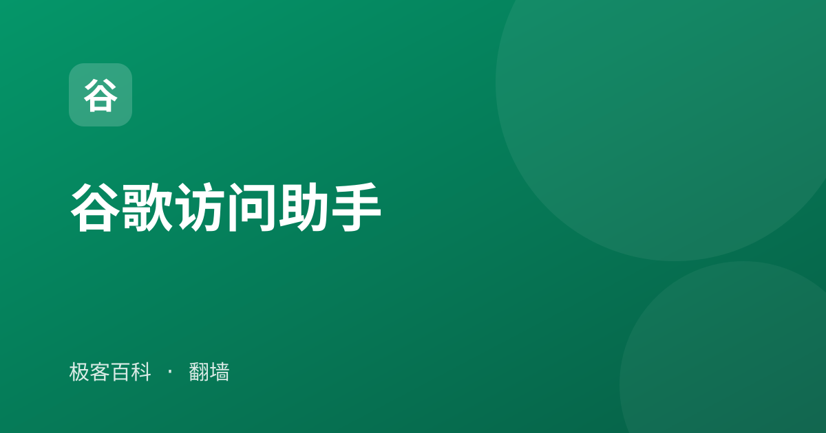 谷歌访问助手