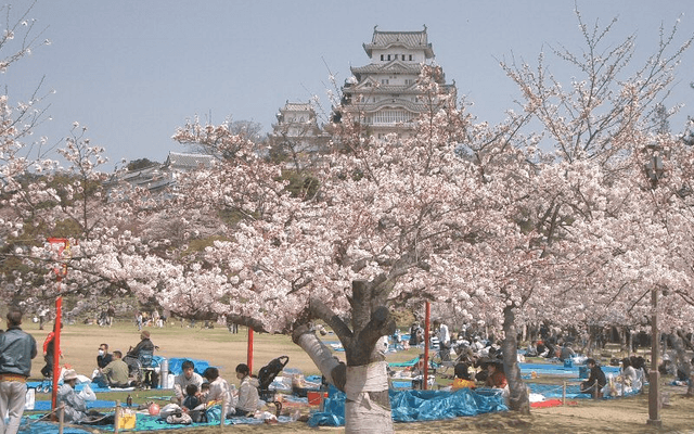 Hanami(Ruby Web 框架)