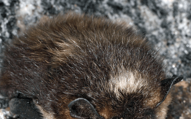 Hibernate(Java ORM 框架)