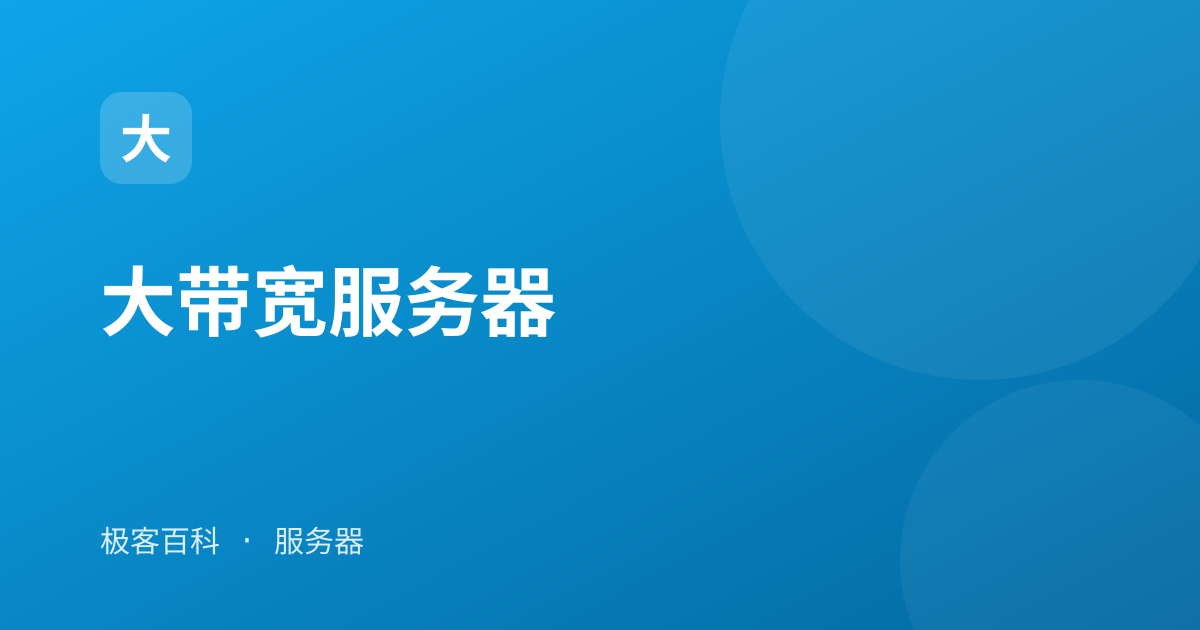 大带宽服务器