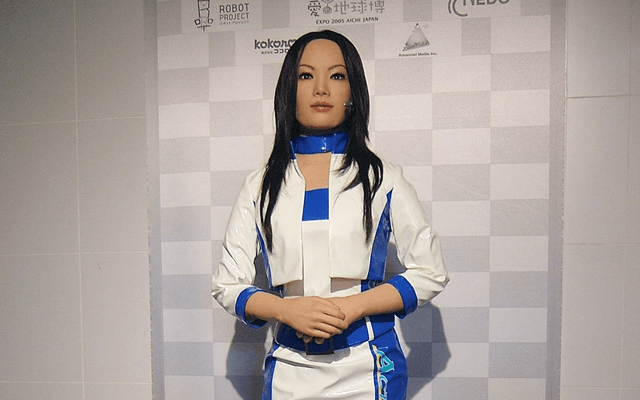 人形机器人 (Humanoid Robot)