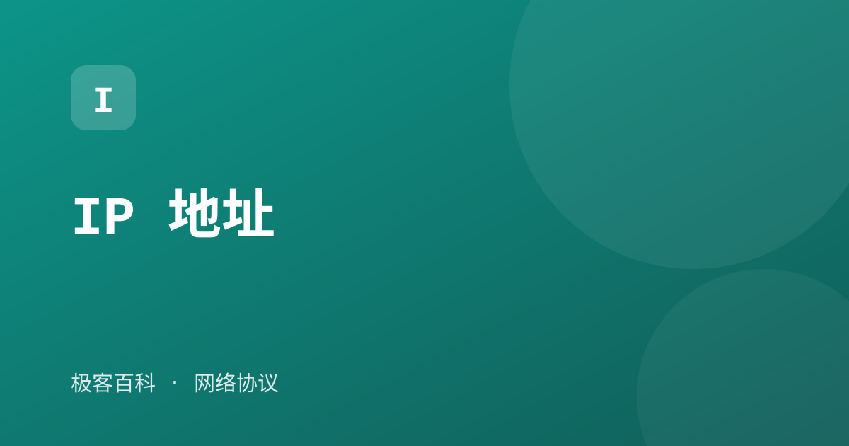 IP 地址