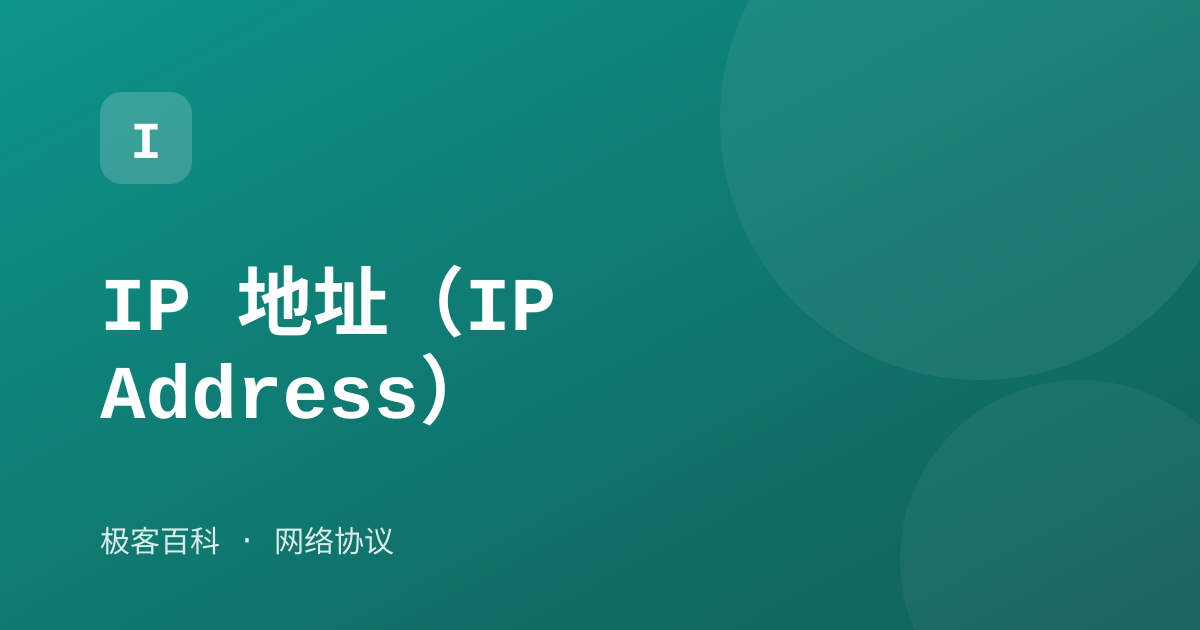 IP 地址（IP Address）