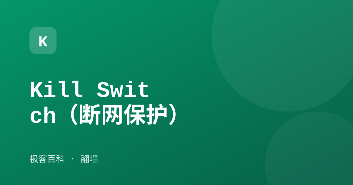 Kill Switch（断网保护）