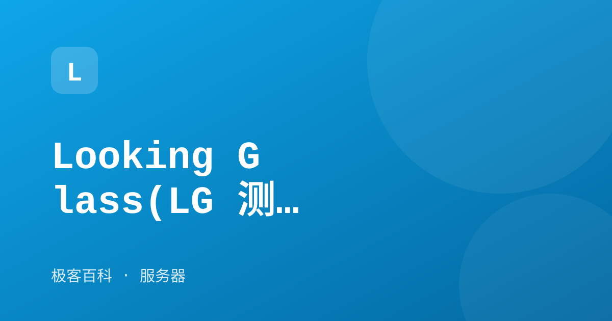 Looking Glass(LG 测试)