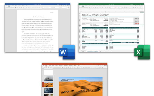 Microsoft Office