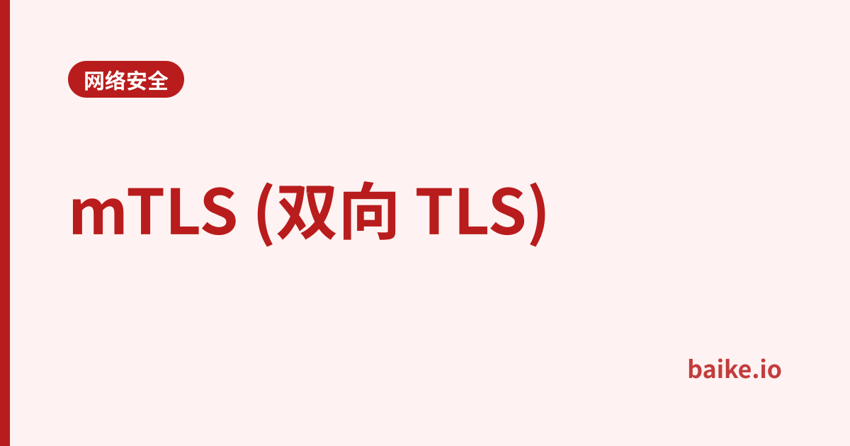 mTLS (双向 TLS)