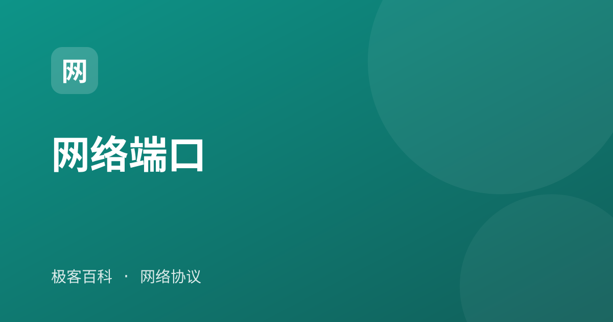 网络端口