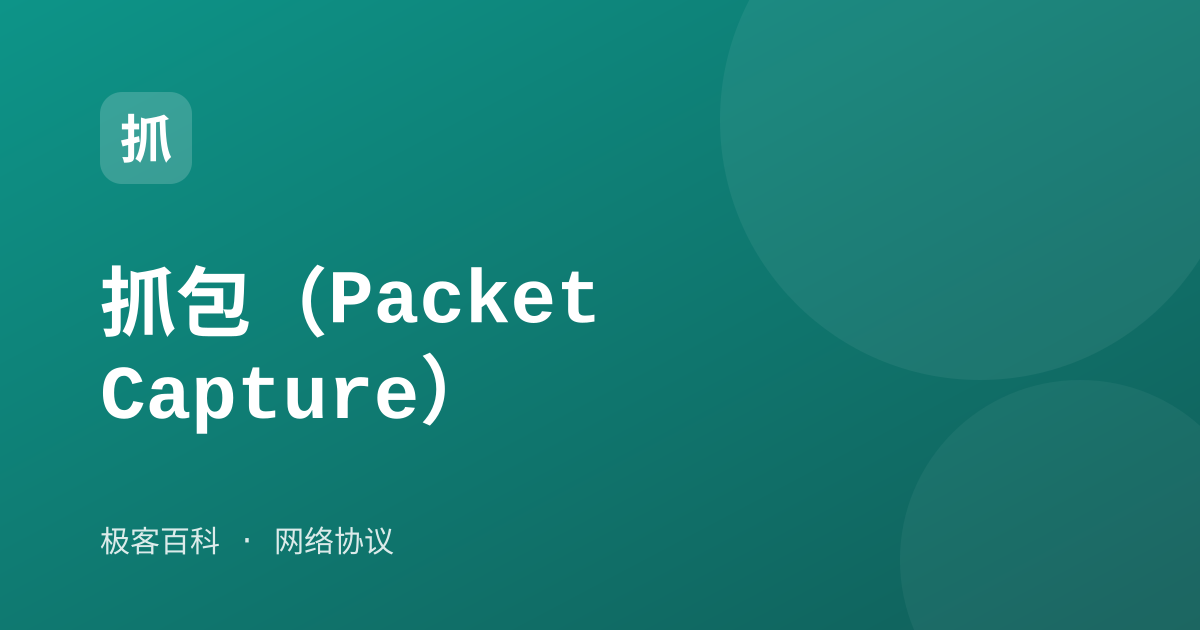 抓包（Packet Capture）