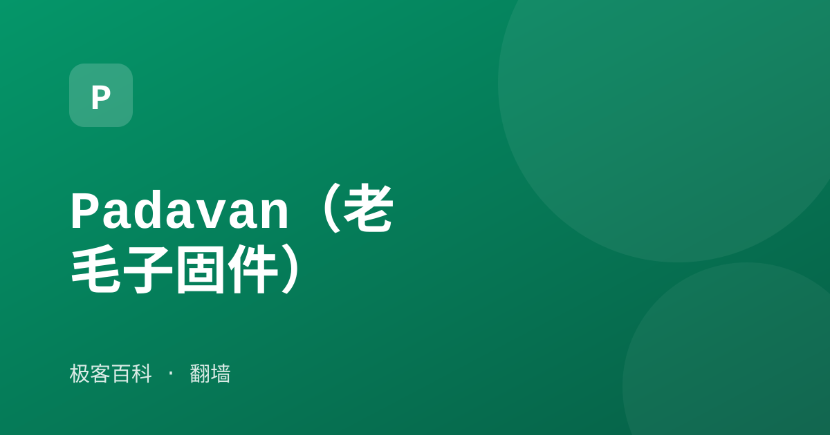 Padavan（老毛子固件）