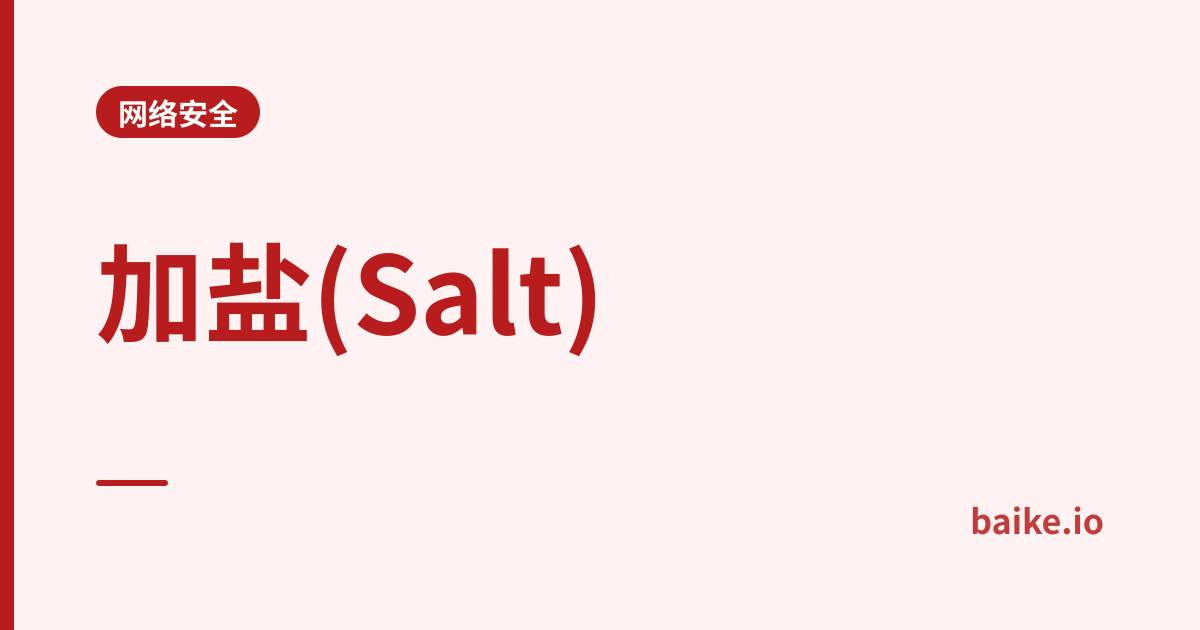 加盐(Salt)