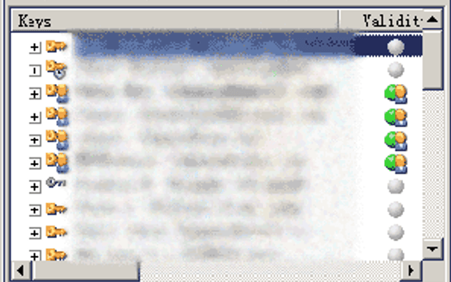 PGP（Pretty Good Privacy）