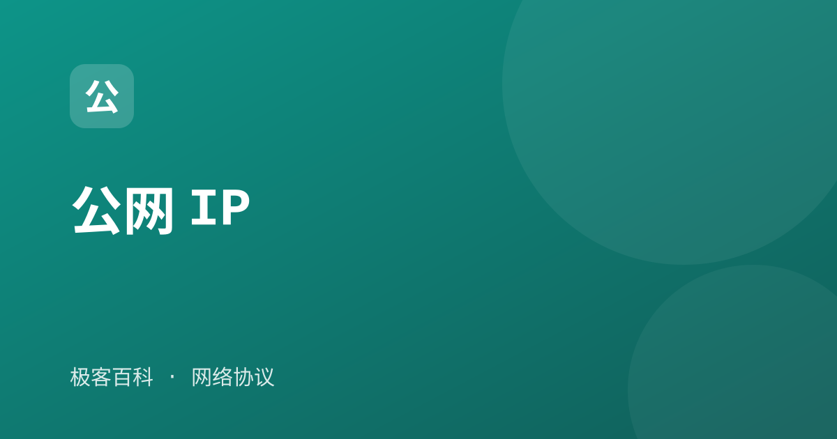 公网 IP
