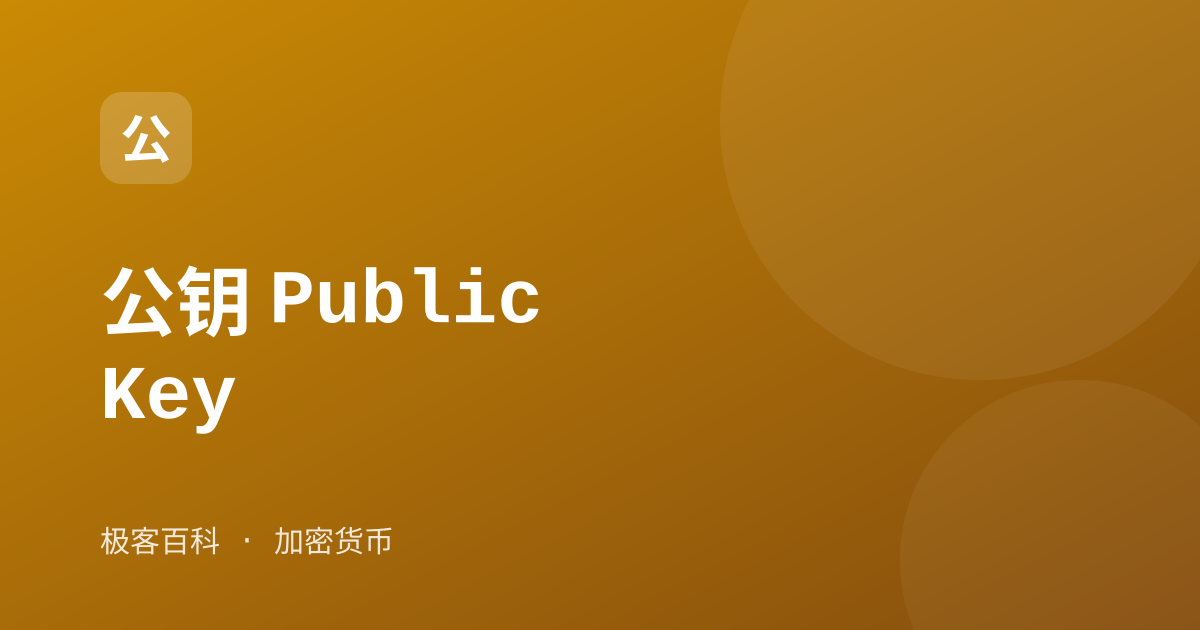 公钥 Public Key
