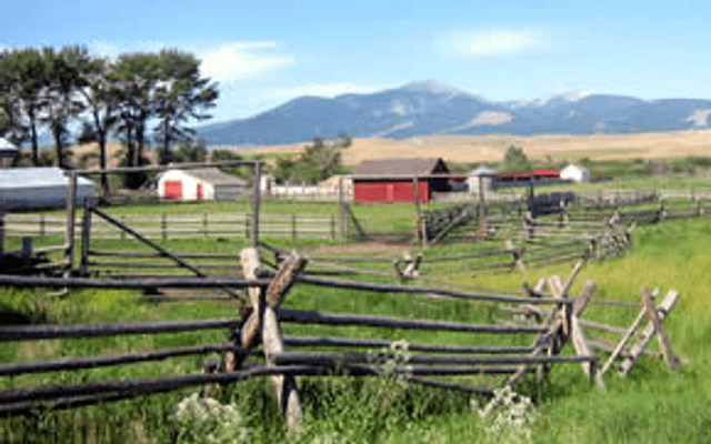 Rancher