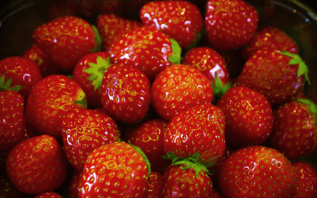 Red（编程语言）