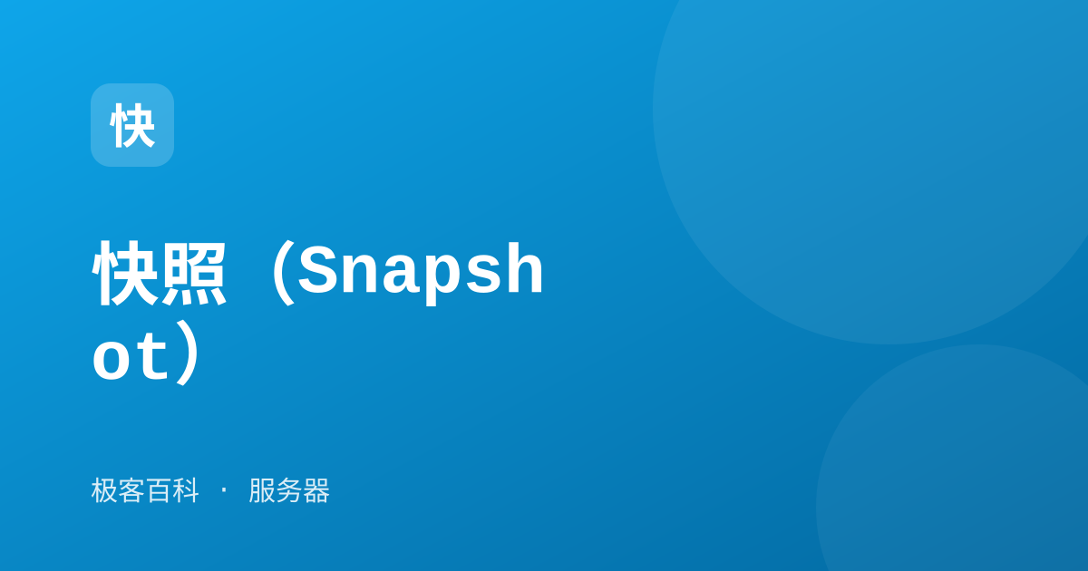 快照（Snapshot）