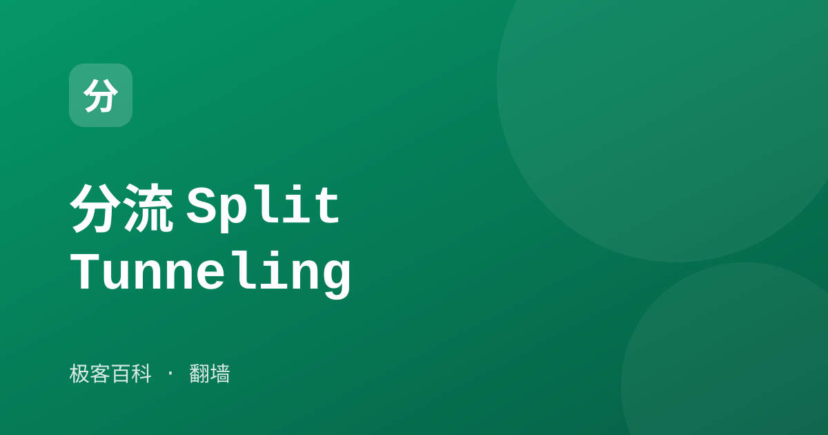 分流 Split Tunneling