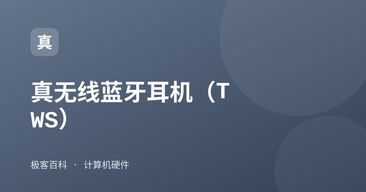 真无线蓝牙耳机（TWS）