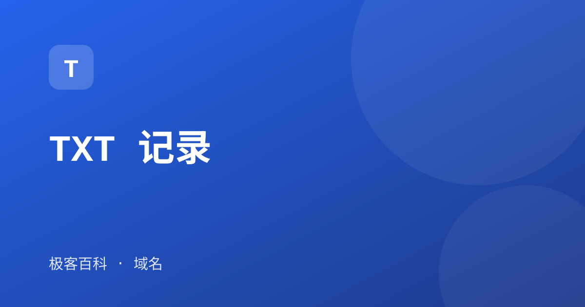 TXT 记录